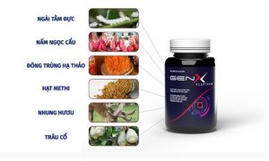 Thành Phần Gen X Platium