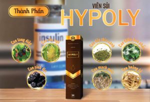 Các loại thảo dược trong viên sủi đều có công dụng hỗ trợ kiểm soát lượng đường trong máu
