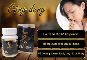 An Phế Plus hỗ trợ giảm các bệnh lý viêm họng cấp và mãn tính, viêm amidan, thanh quản