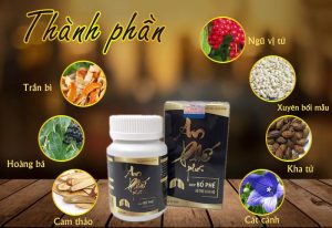 Thành Phần An Phế Plus
